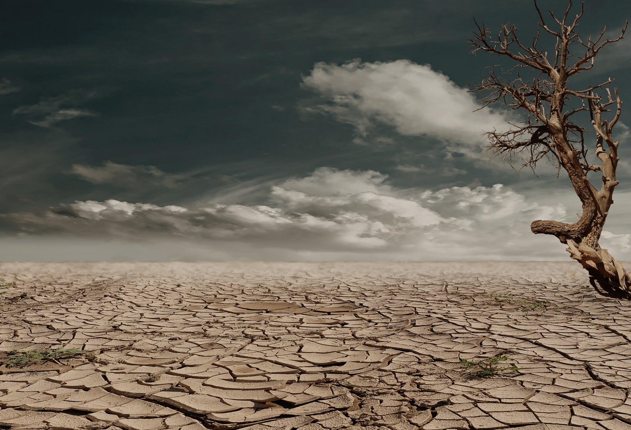 What’s A Hair Desert?